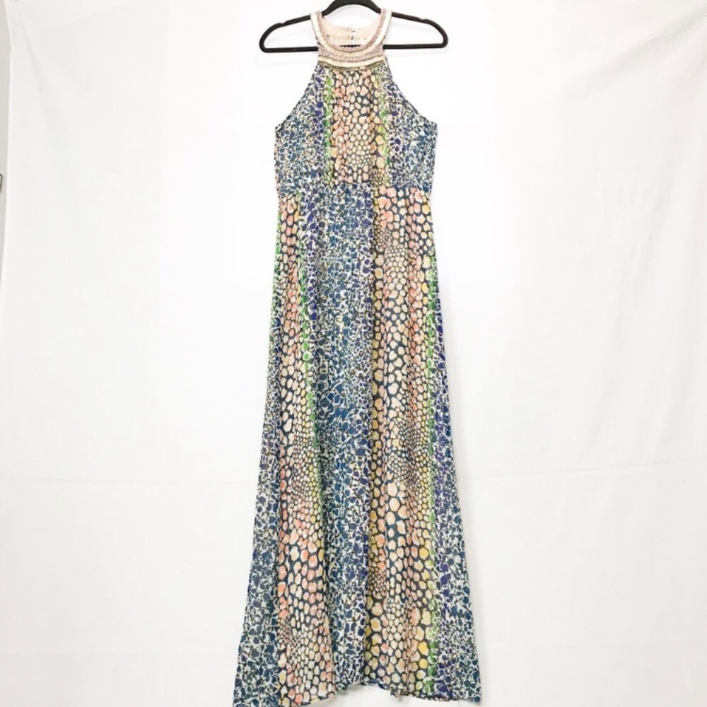 Anthropologie Maxi Dress